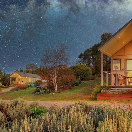 Grace Cottages Uralla Exterior photo