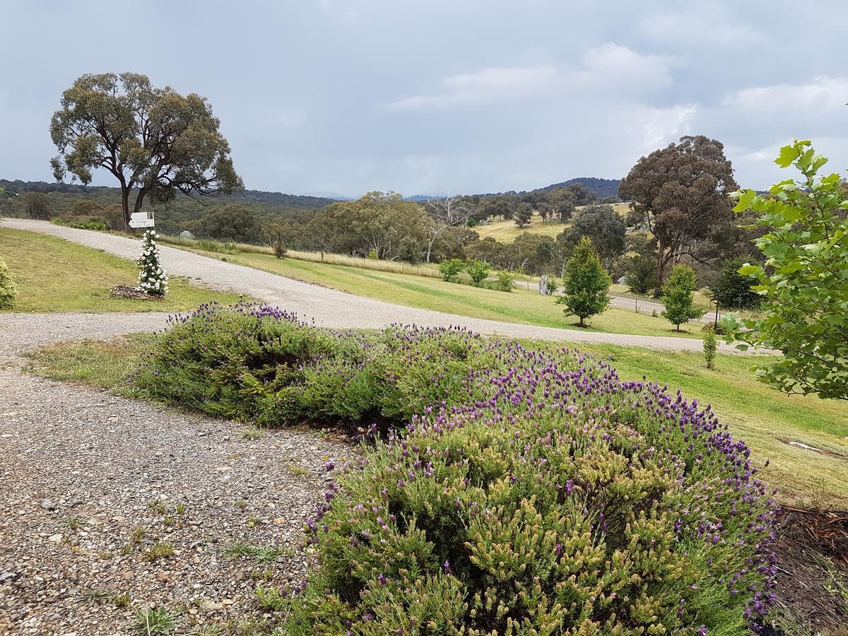 Grace Cottages Uralla Exterior photo